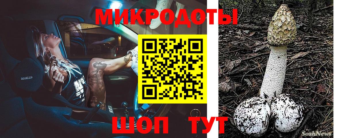 закладки  Галлюциногенные грибы мицелий  Вход с VPN  Мыски 